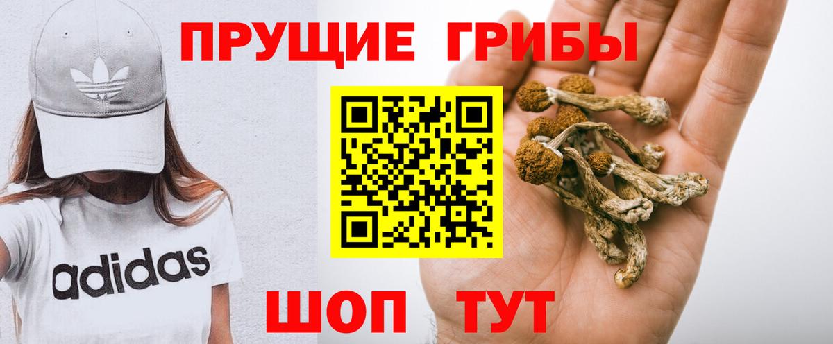 Псилоцибиновые грибы прущие грибы  Вход с VPN  Шахты 